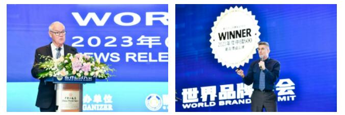 权威认证 Stake入选中国500最具价值品牌