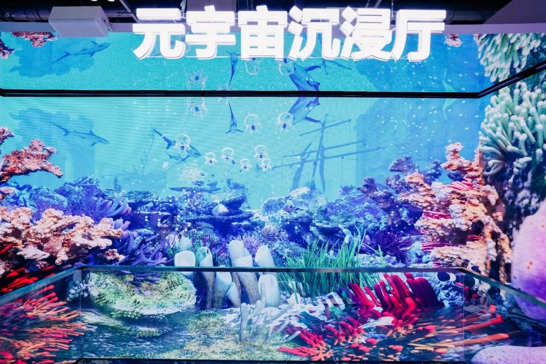 “AI+智能显示”引领未来 Stake新品InfoComm展大放异彩
